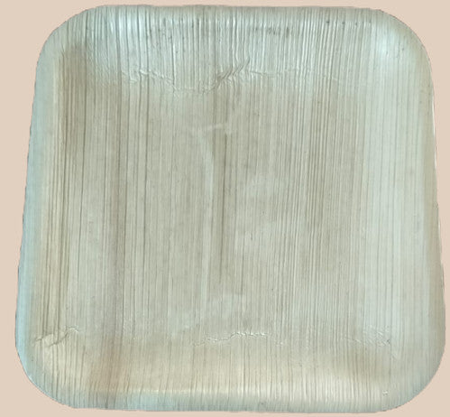 Areca square plate(pack of 50) | Swaagatham